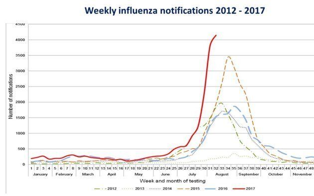 Grudge disharmoni Ugyldigt Australia Is In The Grip Of The Worst Flu Season On Record | HuffPost null