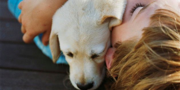 Boy (9-11) hugging labrador puppy, close-up