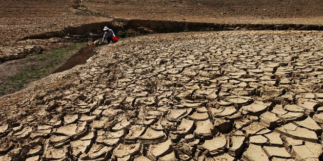 This year is on track to be the hottest on record. Climate change has been linked to several extreme weather events this year, including droughts and floods.