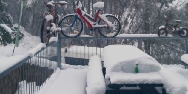 Maybe not the best weekend for a high country bike ride.