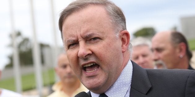 Anthony Albanese has a fight on his hands