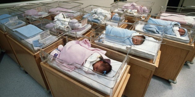 Women who drank artificially sweetened drinks while pregnant were more likely to give birth to overweight babies.