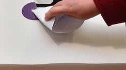 If Dual Citizens Can Vote In Elections They Should Be Entitled To Stand As