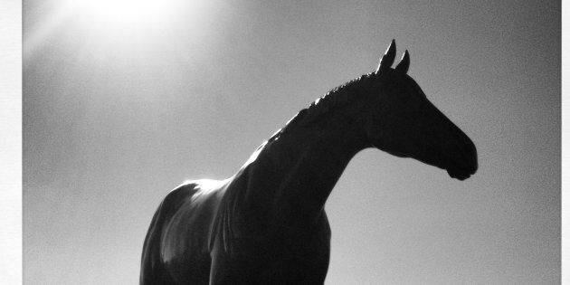 The Phar Lap statue often visited on Melbourne Cup day at Flemington Racecourse for good luck.