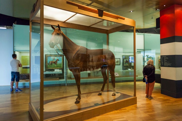 Phar Lap lives inside a hermetically sealed chamber.