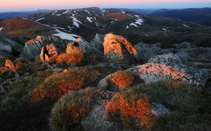 Mount Kosciuszko is part of the rare, beautiful region of the national park.