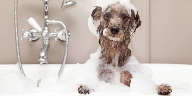 So soapy. So soothing.