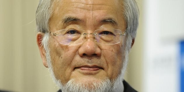 TOKYO, JAPAN - OCTOBER 03 : Japanese scientist Yoshinori Osumi, Honorary Professor of Tokyo Institute of Technology, attends a news conference at Tokyo Institute of Technology, in Tokyo, Japan on October 3, 2016. The 2016 Nobel Prize for physiology/medicine was awarded to Yoshinori Ohsumi of the Tokyo Institute of Technology for his research into autophagy. (Photo by David Mareuil/Anadolu Agency/Getty Images)