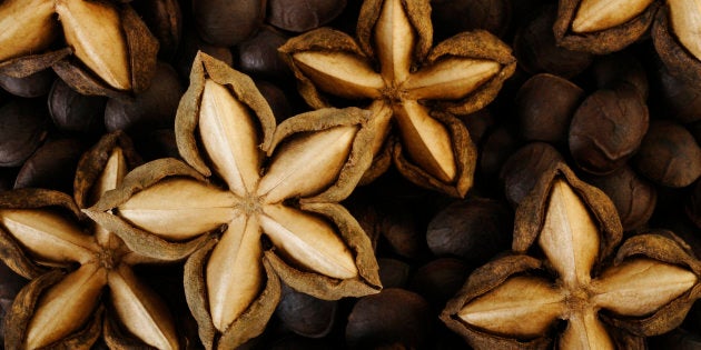 dried sacha inchi on roasted sacha inchi seeds background