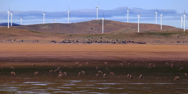 They might not look that pretty on the hills behind Lake George, but wind turbines are not all b-a-a-a-a-a-a-d news. In fact they're potential saviours for cash-strapped farmers.