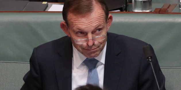 Tony Abbott during question time at Parliament House