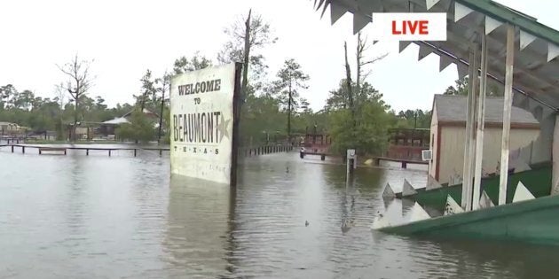 An alligator sanctuary in southeast Texas says their flooded park risks its gators escape