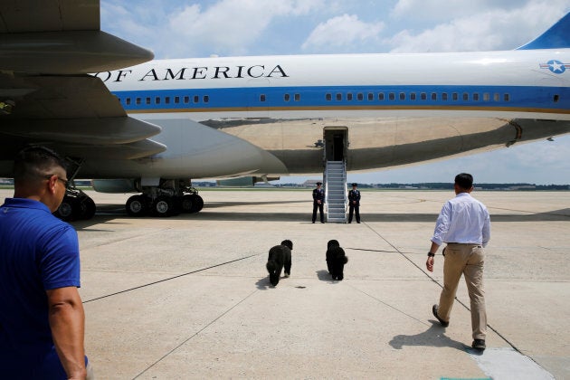 Bo and Sunny board Air Force One.