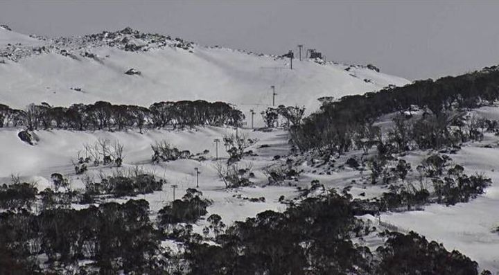 With fresh snow on top of the leftover winter snowpack, Antons T-bar at the top of Thredbo looks good enough to ski on Tuesday, October 11. Thredbo has a chairlift open for those keen to go and throw a snowball.