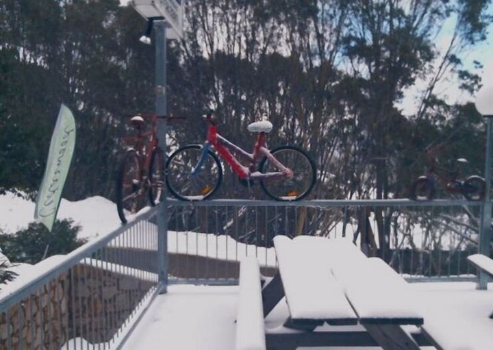 The standard bike pic at Falls Creek in Victoria (which you might have seen before if you read this site regularly) shows about five cm of Spring fluff. More is forecast to fall.
