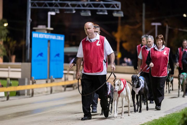 You don't have to love this sport. But you don't have to hate all of its participants, either. Most of them are good, honest, hobby trainers who love their dogs.
