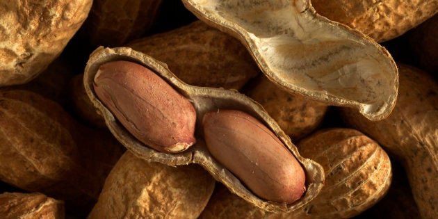 Peanuts, Arachis hypogaea, roasted. Native to South America. (Photo by: Auscape/UIG via Getty Images)