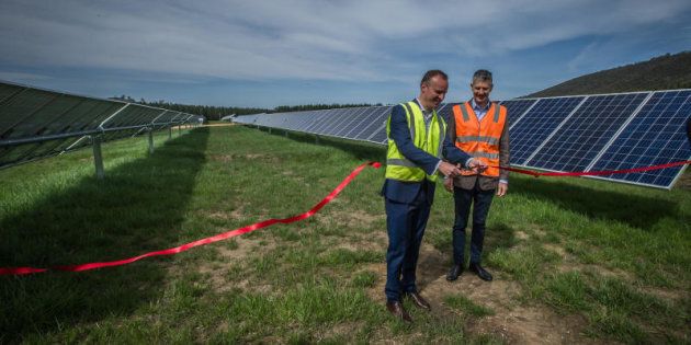 Chief Minister Andrew Barr at the opening of the Mount Majura Solar Farm