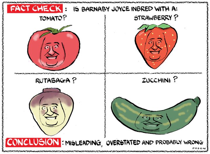 Dyson cartoon; re Johnny Depp, Barnaby Joyce, inbred with a tomato etc, Age Letters 26 May 2016
