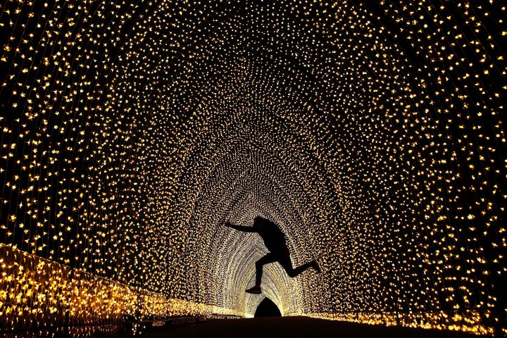 Jumping for joy in the 'Cathedral of Light' at The Royal Botanic Gardens.