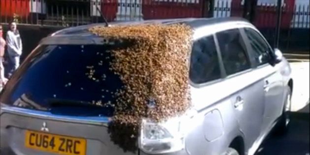 A Welch woman's vehicle is seen covered in bees during a bizarre game of follow the leader.