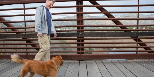 Caucasian man and dog walking on wooden bridge