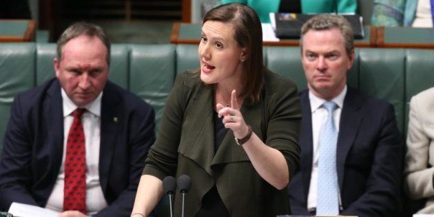 Minister Kelly O'Dwyer had a procedural blunder fixed by
