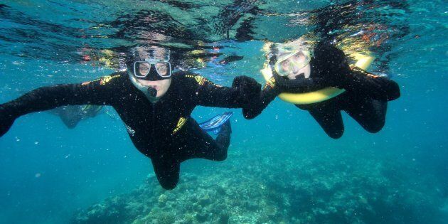 Labor has announced its policy around the Great Barrier Reef.