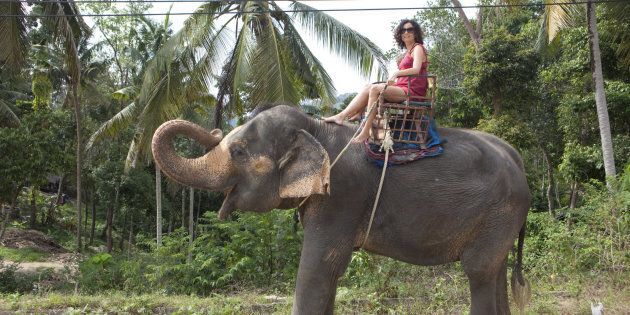 female tourist with red dress rides an elephant in Thailand along the street