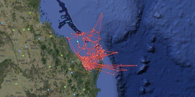 People watched Maroochy's pings in real time on the OCEARCH website.