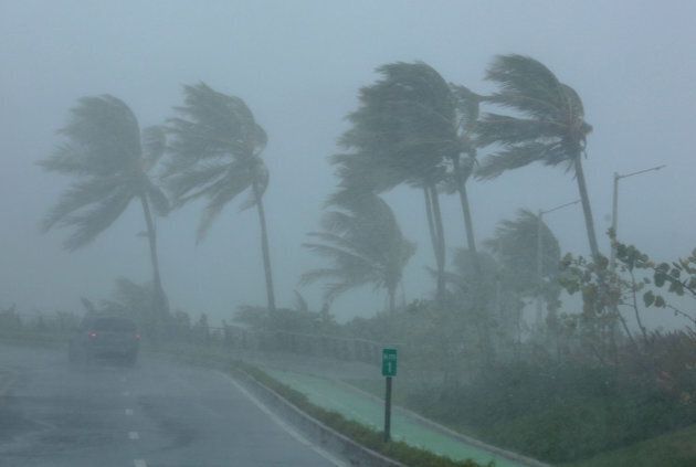 Palm trees bend in the wind as Hurricane Irma slammed across islands in the northern Caribbean on Wednesday, in San Juan, Puerto Rico September 6, 2017.
