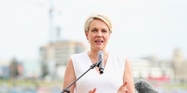 Deputy Labor leader Tanya Plibersek is worried about what a Donald Trump will mean for Australia's security.