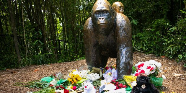 Flowers lay around a bronze statue of a gorilla and her baby outside the Cincinnati Zoo's Gorilla World exhibit, two days after a boy tumbled into its moat and officials were forced to kill Harambe, a Western lowland gorilla, in Cincinnati, Ohio, U.S. May 30, 2016. REUTERS/William Philpott