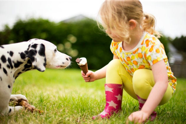 Best to stick to a little bit of cheese as a dog treat, providing they aren't lactose intolerant.