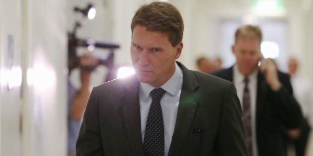 Bernardi says he does not support the author's 'other views'