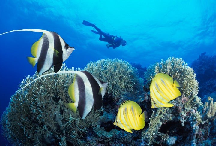 Great Barrier Reef