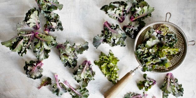 Kalettes got their curly leaves from mum and their tightly packed bunches from dad.