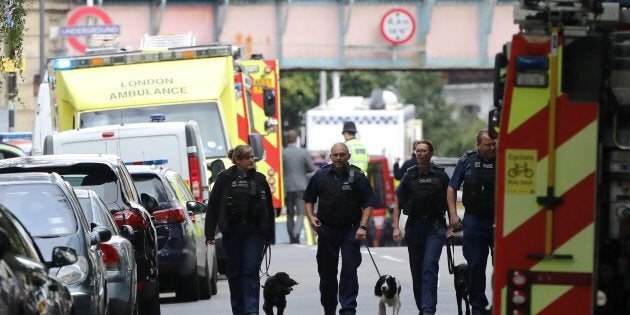 A terror attack on a London train has injured 29 people.