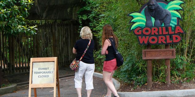CINCINNATI, OH - JUNE 2: Visitors walk past the closed main entrance to the Cincinnati Zoo's Gorilla World exhibit days after a 3-year-old boy fell into the moat and officials were forced to kill Harambe, a 17-year-old Western lowland silverback gorilla June 2, 2016 in Cincinnati, Ohio. The exhibit is still closed as zoo officials work to upgrade safety features of the exhibit. (Photo by John Sommers II/Getty Images)