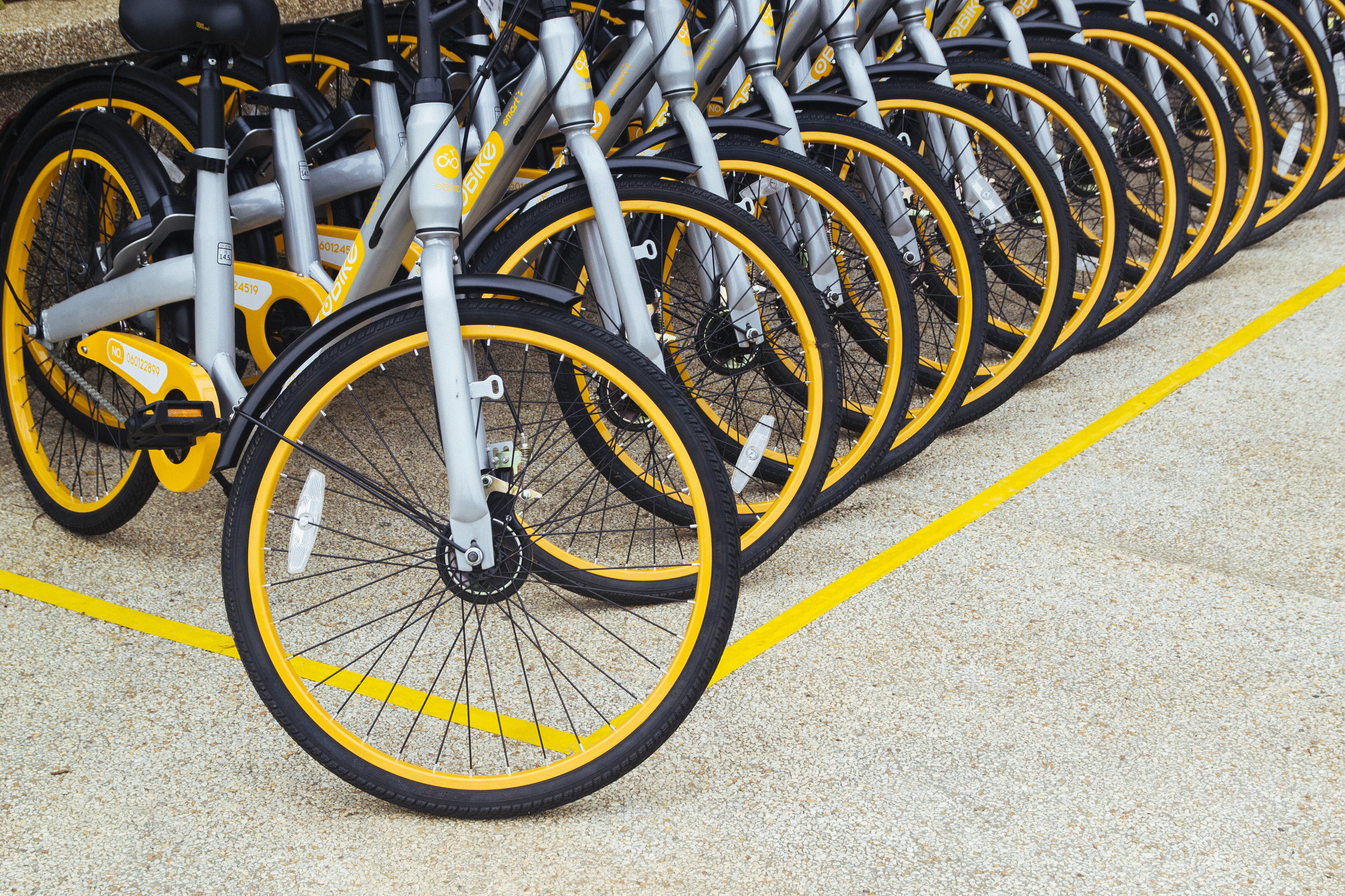 yellow bikes