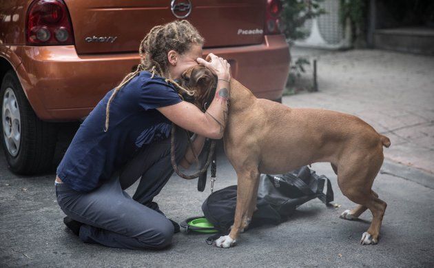 A woman hugs her dog after powerful magnitude 7.1 earthquake hit Mexico City, killing hundreds and causing widespread panic.