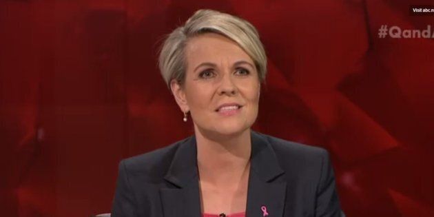 'This man is an incompetent Minister and he should have gone long ago,' Plibersek said on Monday's Q&A program.