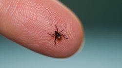Our 'World Class' Health System Doesn't Get My Tick Of