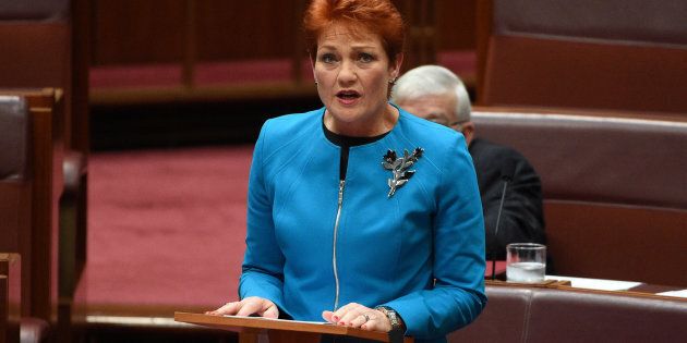 Support for Pauline Hanson's call for a ban on Muslim migration has softened.