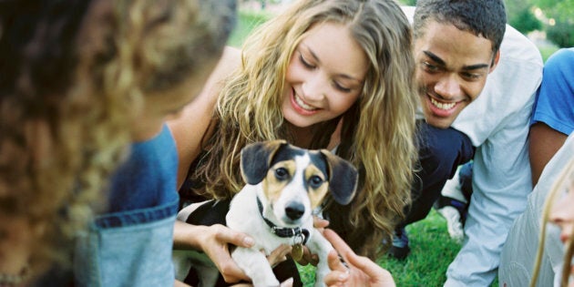 Yes, there's even Doggy Speed Dating, an open session for dog lovers to mingle with pooches.