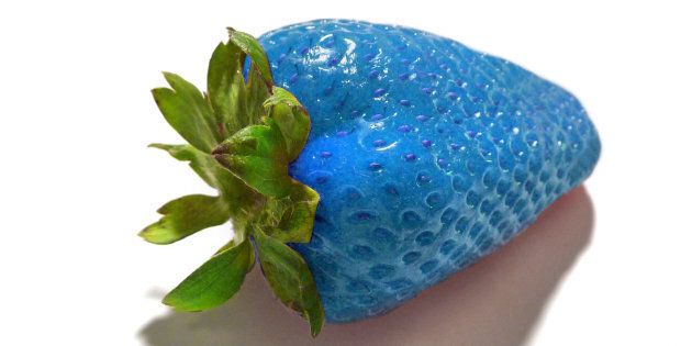Blue strawberry with shadow