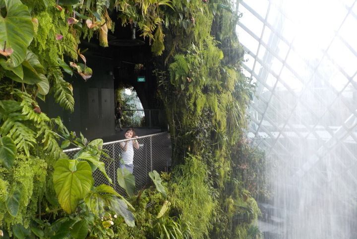 Escape the heat inside the huge Gardens by the Bay glasshouses.