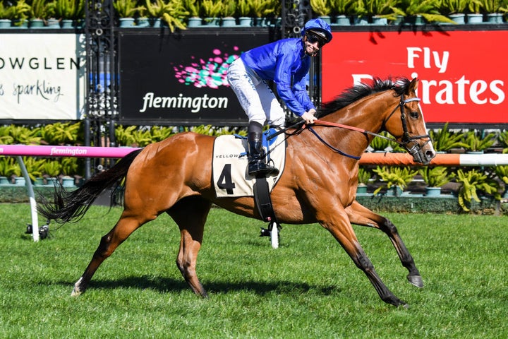 This is Melbourne Cup favourite Hartnell easily winning at Flemington a month ago. Its jockey wears the famous Godolphin blue. When there is more than one Godolphin runner in a race, the other riders wear the same blue silks with different coloured caps.