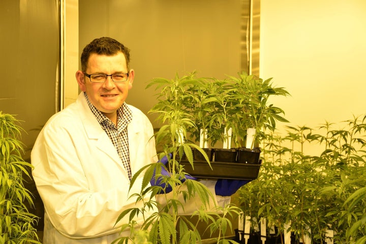 Victorian Premier Daniel Andrews at Victoria's secret medical cannibis lab, in August.