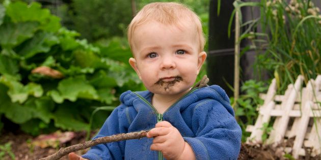 Should We Let Kids Eat Dirt?